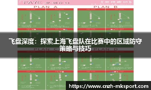 飞盘深度：探索上海飞盘队在比赛中的区域防守策略与技巧